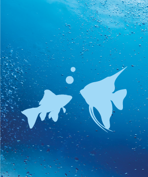 Aqualovers Club